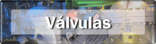 SERVICIOS EN VÁLVULAS DE CONTROL